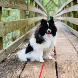 Meet your Posher, Cindra